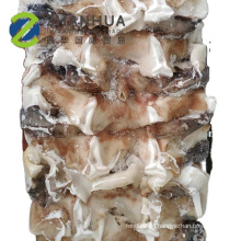 Gefrorener chinesischer Hals Guter Preis Peru Giant Squid Neck 500g